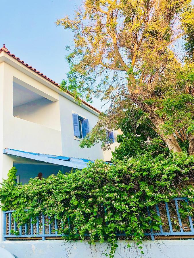 Blue Seaside House With Terrace *